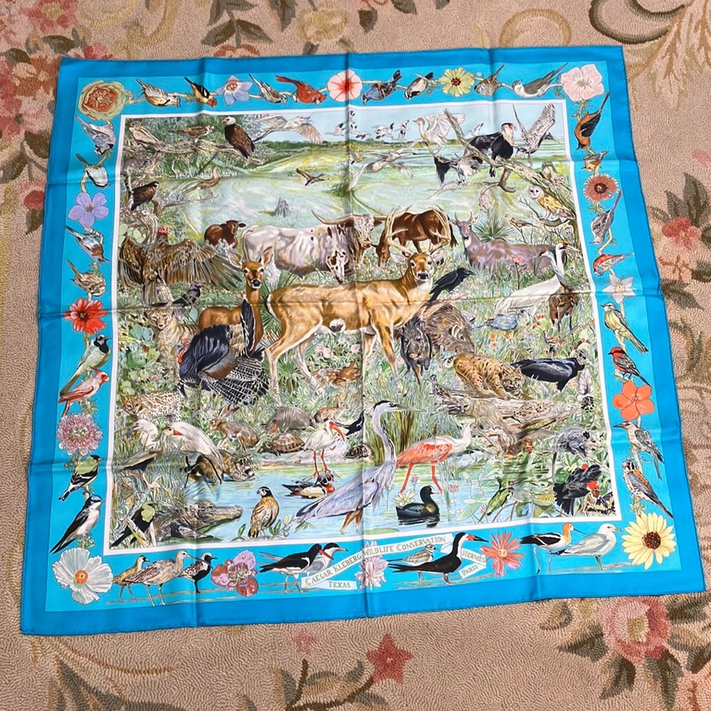Hermès Paris silk scarf by Oliver. Caesar Kleberg Wildlife Conservation Texas.